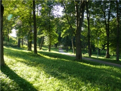 Дорожка в городском парке