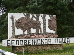 Подъезжаем к Беловежской пуще