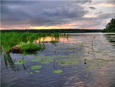 Кадр дня... И кто бы мог подумать, что впереди самое сухое и жаркое лето :-)